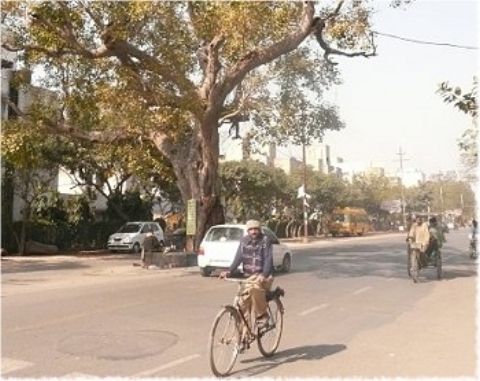 Images/delhi 082.jpg
